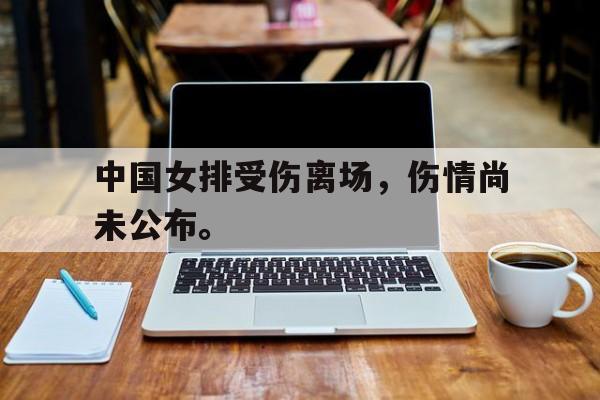 开元官网登录入口-中国女排受伤离场，伤情尚未公布。