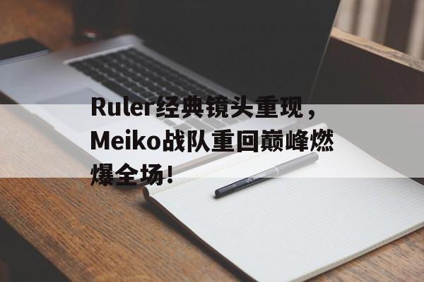 开元棋牌-Ruler经典镜头重现，Meiko战队重回巅峰燃爆全场！